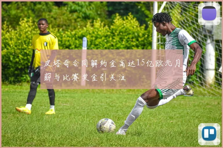 皮塔奇合同解约金高达15亿欧元月薪与比赛奖金引关注